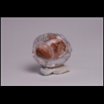 Gold Birth 5 x 5 x 4 in.jpg